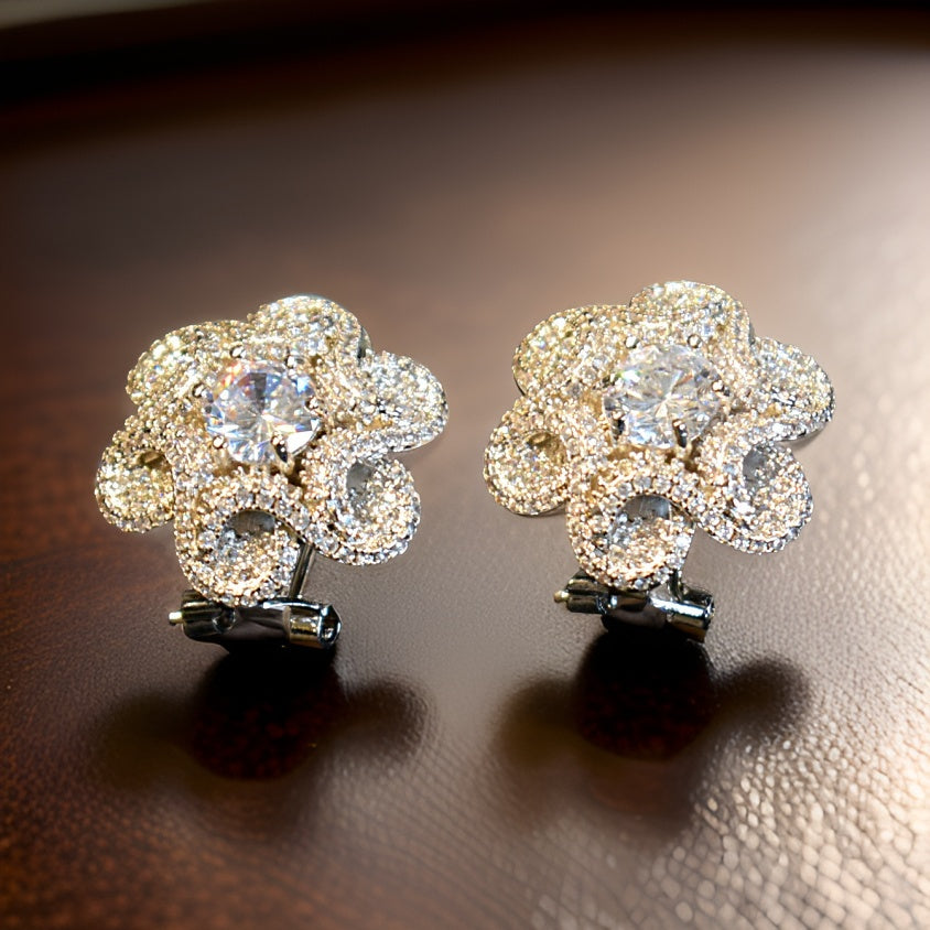 Picture of ZZ-ER-74 EARINGS SILVER - Chenone Official - Online Shopping