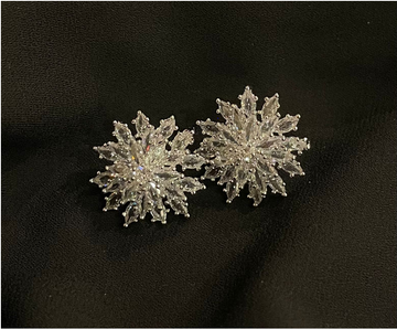 EARING ZZ-ER-150 SILVER