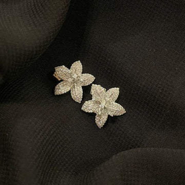 EARING ZZ-ER-160 SILVER STD