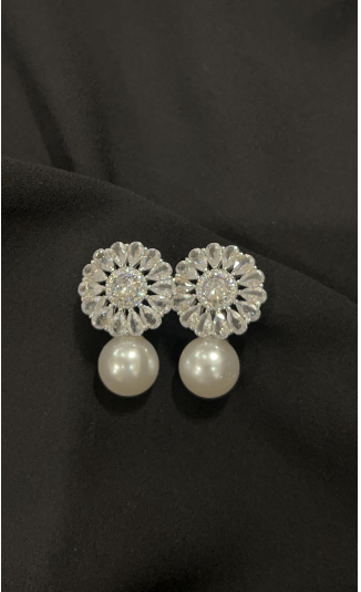 EARING ZZ-ER-158 SILVER STD