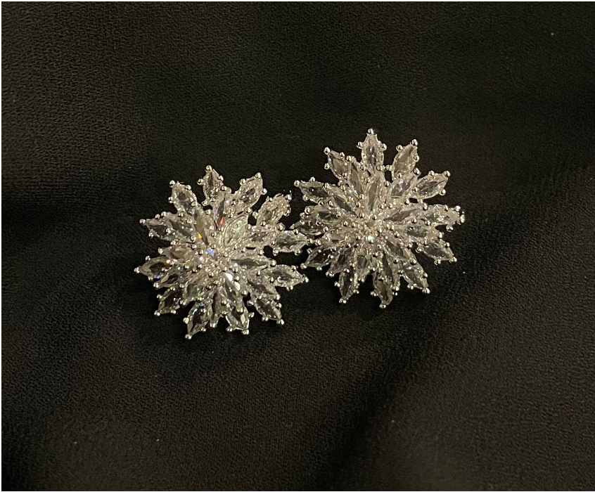EARING ZZ-ER-150 SILVER